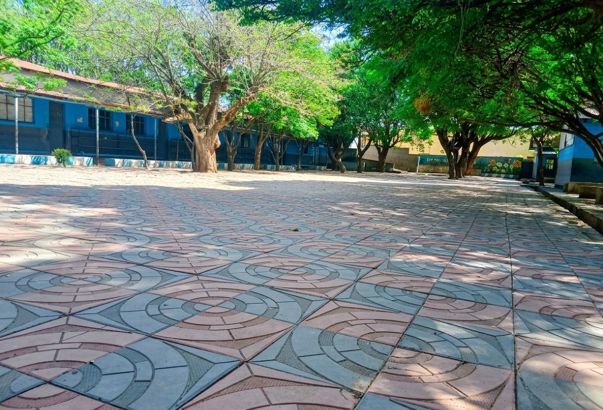 Elementary Library